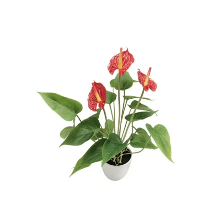 ΦΥΤΟ ΜΙΝΙ ΑΝΘΟΥΡΙΟ KOKKINO REAL TOUCH x3 - Y43cm - Τεχνητά Φυτά και Δέντρα