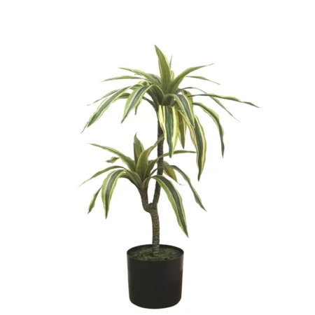 ΔΕΝΤΡΟ ΔΡΑΚΑΙΝΑ ΠΡΑΣΙΝΟ ΔΙΧΡΩΜΟ REAL TOUCH - Υ63cm - Τεχνητά Φυτά και Δέντρα