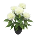 ΦΥΤΟ ΠΑΙΩΝΙΑ X5 ΕΚΡΟΥ ΣΕ ΚΑΣΠΩ - Υ48cm