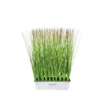 ΦΥΤΑ ΓΚΡΑΣΣ ΣΕ ΜΕΤΑΛΛΙΚΗ ΖΑΡΝΤΙΝΙΕΡΑ - 30X10XY50cm