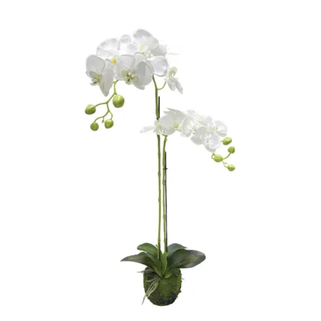 ΦΥΤΟ ΟΡΧΙΔΕΑ ΛΕΥΚΑ ΑΝΘΗ REAL TOUCH - Υ68cm - Τεχνητες Ορχιδεες