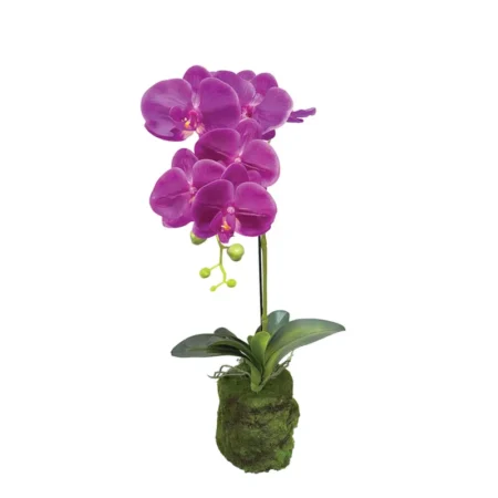 ΦΥΤΟ ΟΡΧΙΔΕΑ ΜΩΒ ΑΝΘΗ REAL TOUCH - Υ59cm - Τεχνητες Ορχιδεες