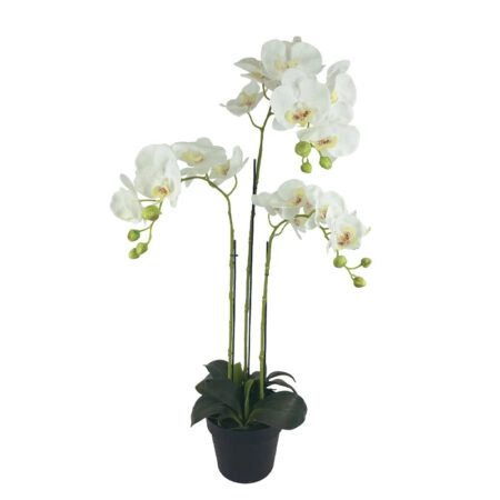 ΦΥΤΟ ΟΡΧΙΔΕΑ ΛΕΥΚΑ ΑΝΘΗ REAL TOUCH ΣΕ ΚΑΣΠΩ - Υ82cm - Τεχνητες Ορχιδεες