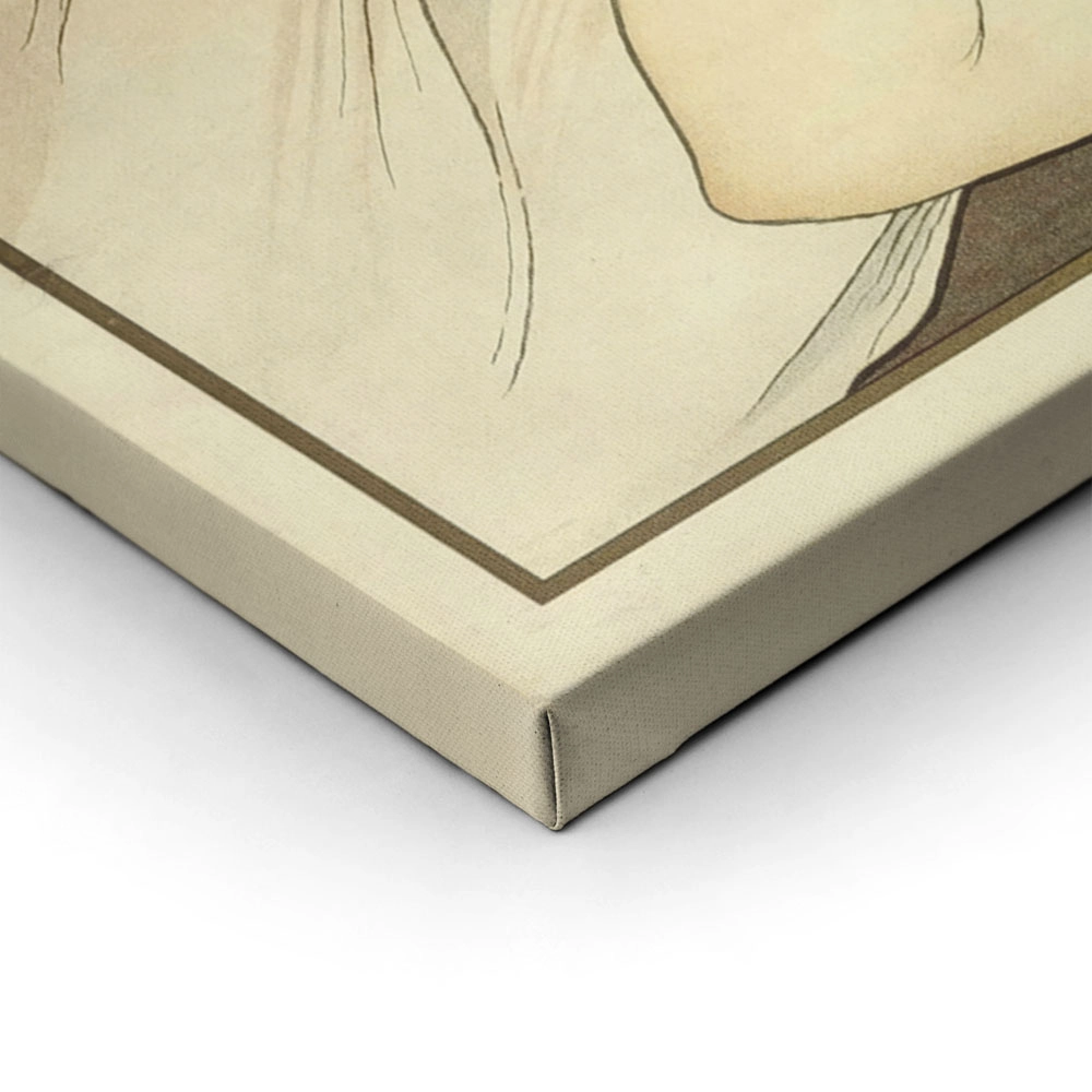 Πίνακας Πανοραμικός σε καμβά ALPHONSE MUCHA - THE FEATHER