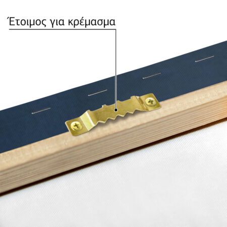 Πινακας σε καμβά BEAR WITH A HAT - Παιδικοι και set Sticky 4