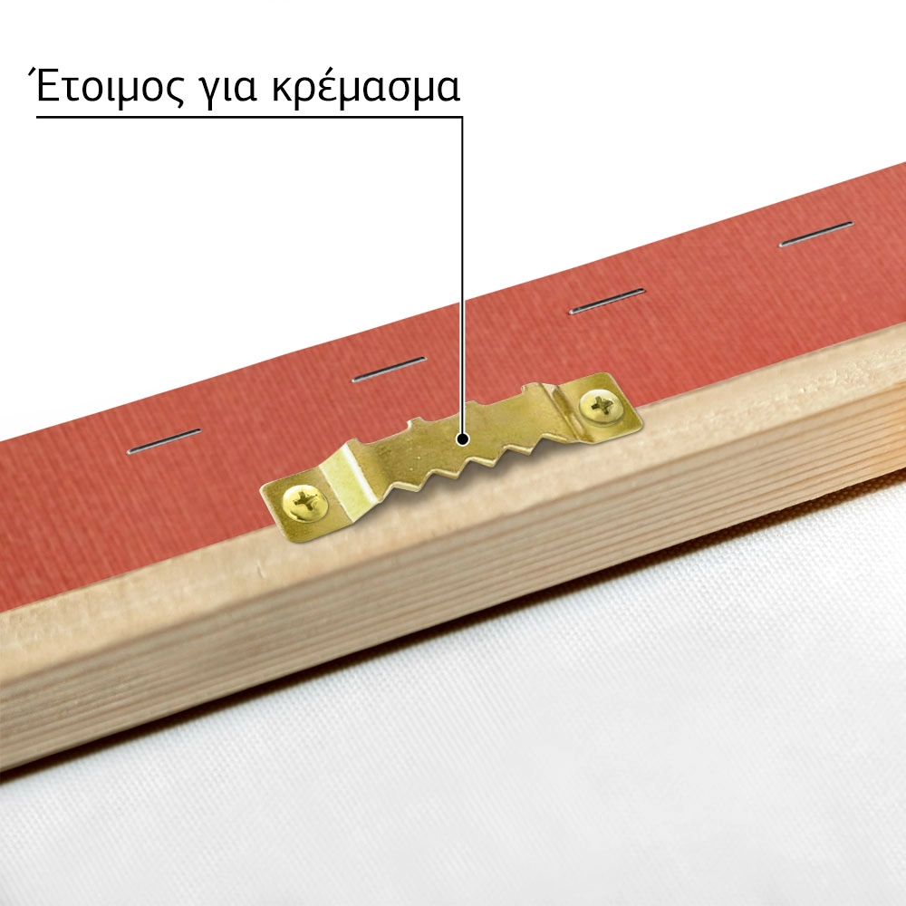 Πινακας σε καμβά BUNNY ON RED