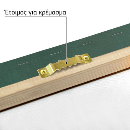 Πινακας σε καμβά CHEETAH - Παιδικοι και set Sticky 4