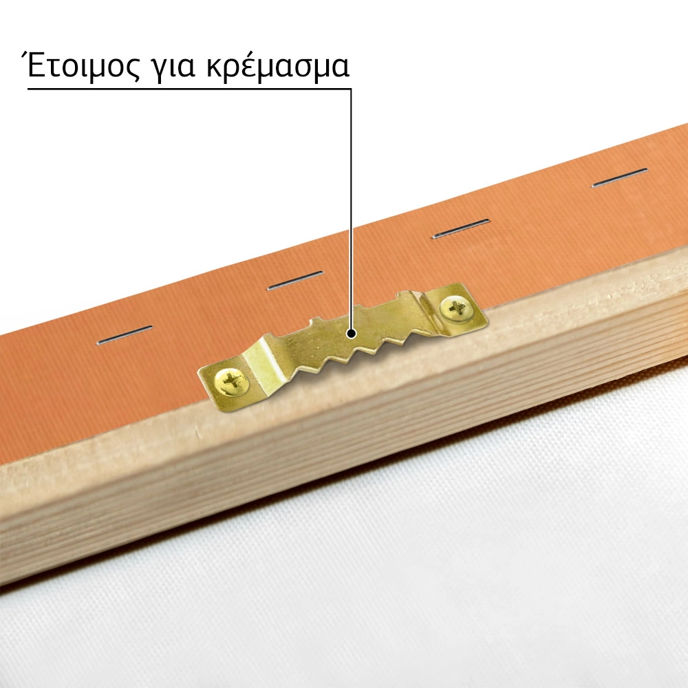 Πινακας σε καμβά CROCODILE ON ORANGE