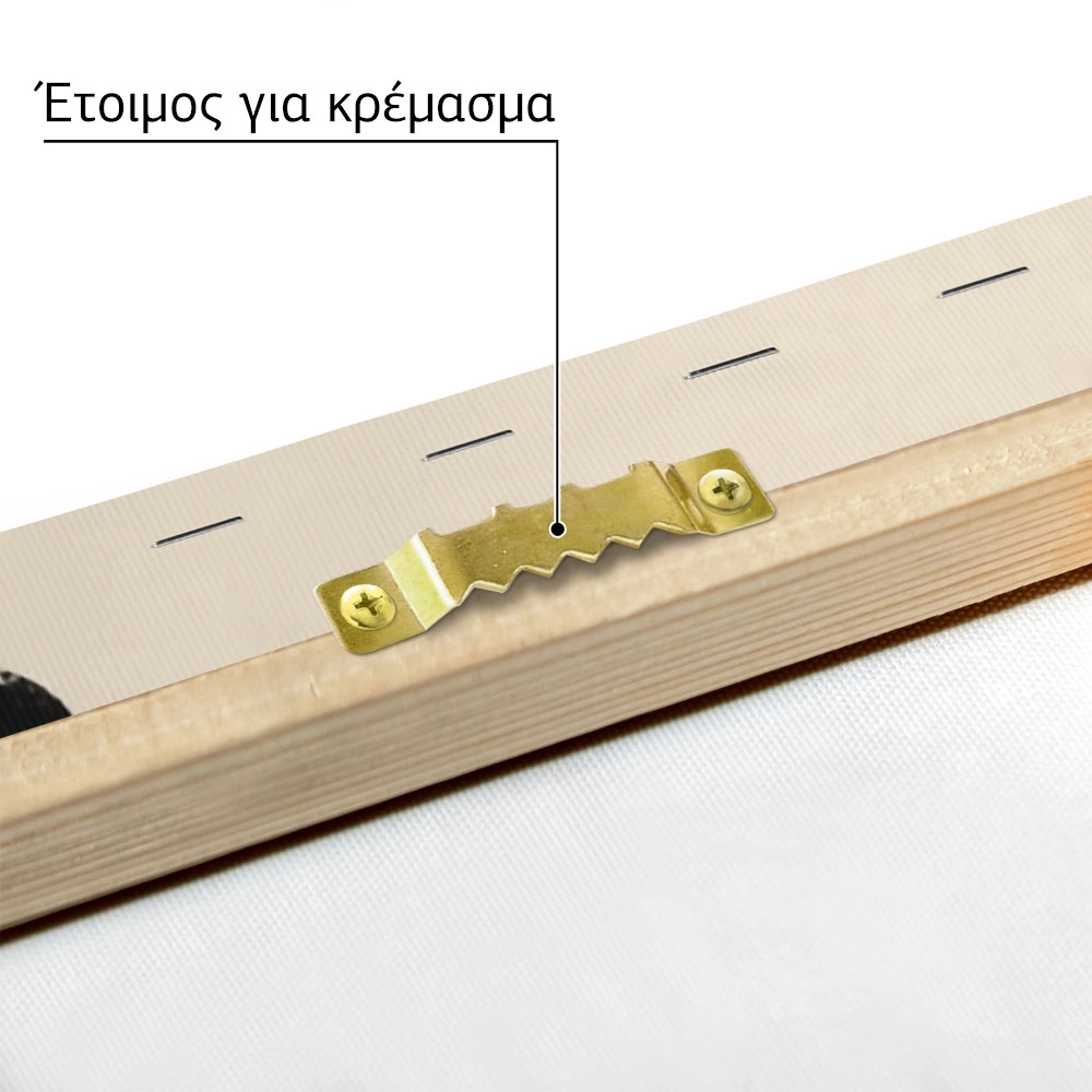 Πινακας σε καμβά CURIOUS LADYBUG