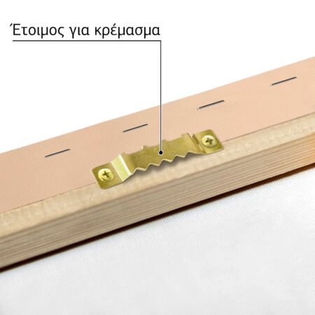 Πινακας σε καμβά DALMATIAN WITH HEART GLASSES - Παιδικοι και set Sticky 4