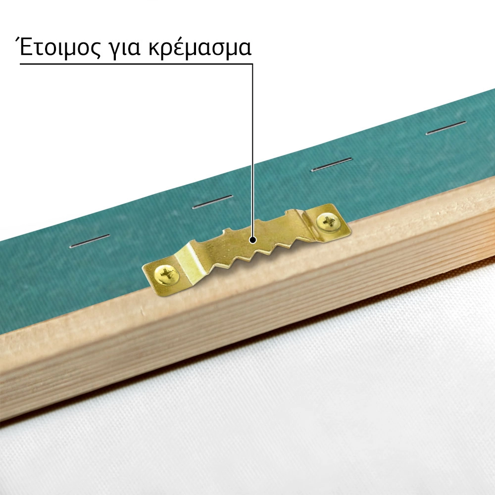 Πινακας σε καμβά GIRL WITH CAT