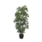 ΔΕΝΤΡΟ ΣΕΦΛΕΡΑ ΣΕ ΚΑΣΠΩ - Υ140cm