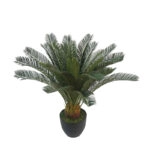 CYCAS TREE IN POT - H72cm