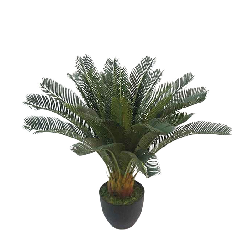 CYCAS TREE IN POT - H72cm