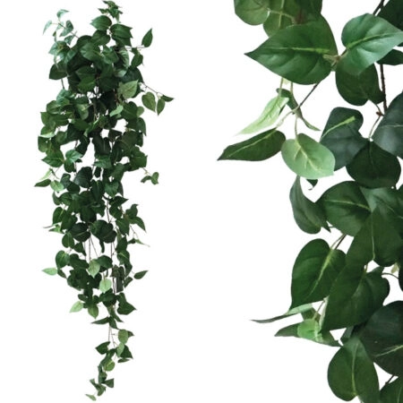 ΡΙΖΑ ΚΡΕΜΑΣΤΗ ΠΟΘΟΣ ΠΡΑΣΙΝΟΣ Y130cm 1/50KIB - Κασπω