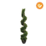 SPIRAL THUJA TREE WITH UV PROTECTION - H120cm 2/BOX