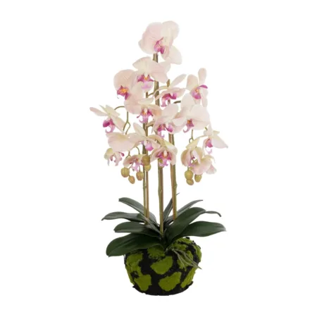 GloboStar® Artificial Garden BUTTERFLY ORCHID BONSAI 21400 Τεχνητό Διακοσμητικό Φυτό Ορχιδέα Μ34 x Π27 x Υ65cm - 