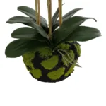 GloboStar® Artificial Garden BUTTERFLY ORCHID BONSAI 21400 Τεχνητό Διακοσμητικό Φυτό Ορχιδέα Μ34 x Π27 x Υ65cm