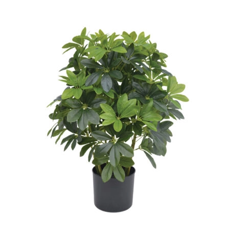 ΔΕΝΤΡΟ ΣΕΦΛΙΕΡΑ ΠΡΑΣΙΝΟ REAL TOUCH ΣΕ ΚΑΣΠΩ - Υ70cm - Τροπικα και Ιδιαιτερα Τεχνητα φυτα Sticky 1