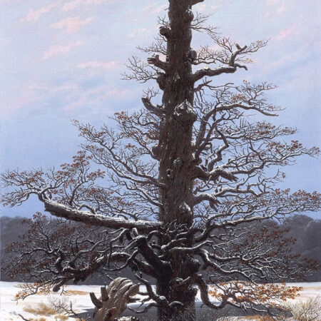 Πινακας σε καμβά CASPAR DAVID FRIEDRICH - OAK TREE IN THE SNOW - Caspar David Friedrich Sticky 5