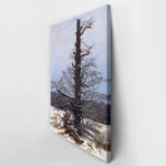 Πινακας σε καμβά CASPAR DAVID FRIEDRICH - OAK TREE IN THE SNOW