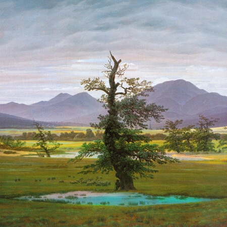Πινακας σε καμβά CASPAR DAVID FRIEDRICH - THE LONELY TREE - Caspar David Friedrich Sticky 5