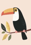 Πινακας σε καμβά CUTE TOUCAN