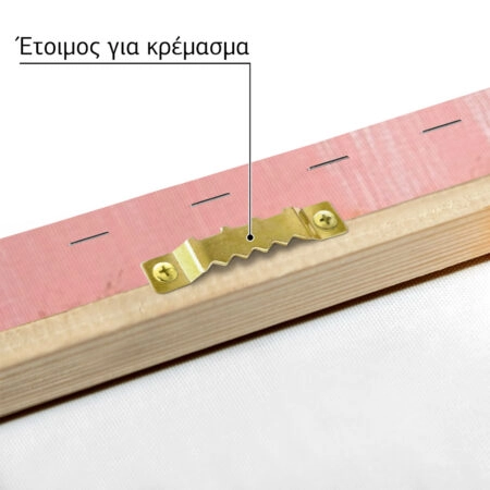Πινακας σε καμβά LION ON SCOOTER - Παιδικοι και set Sticky 4