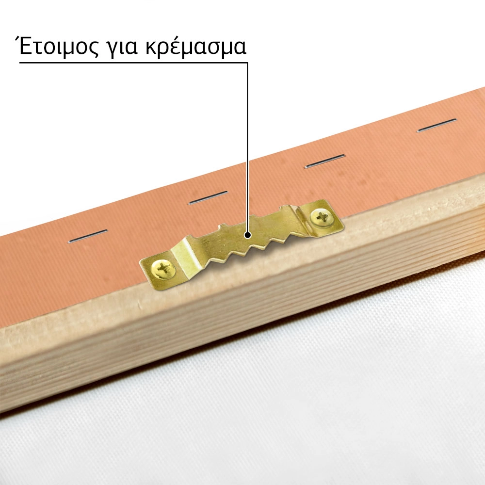 Πινακας σε καμβά PINK AND ORANGE SUNSHINE