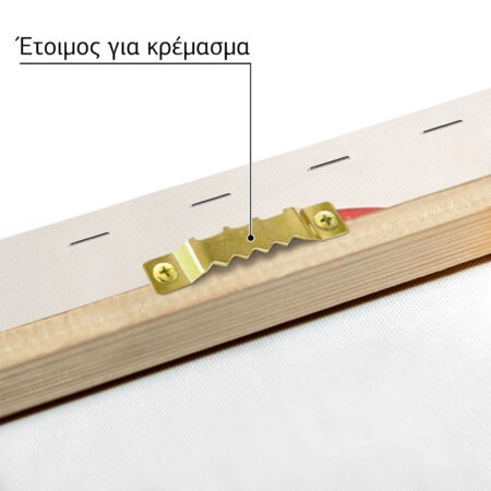 Πινακας σε καμβά RED MUSHROOM - Παιδικοι και set Sticky 4