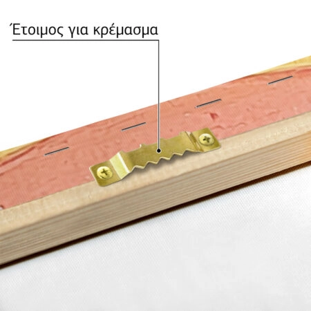 Πινακας σε καμβά SNOWCAPS - Παιδικοι και set Sticky 4