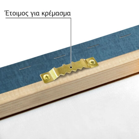 Πινακας σε καμβά TOUCAN IN SNOW - Παιδικοι και set Sticky 4