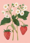 Πινακας σε καμβά WILD STRAWBERRY