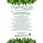 GloboStar® Artificial Garden BUTTERFLY ORCHID BONSAI 21400 Τεχνητό Διακοσμητικό Φυτό Ορχιδέα Μ34 x Π27 x Υ65cm