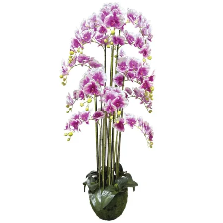 ΦΥΤΟ ΟΡΧΙΔΕΑ ΔΙΧΡΩΜΟ ΜΩΒ/ΛΕΥΚΑ ΑΝΘΗ REAL TOUCH - Υ168cm 1/ΚΙΒ - Τεχνητά Φυτά και Δέντρα
