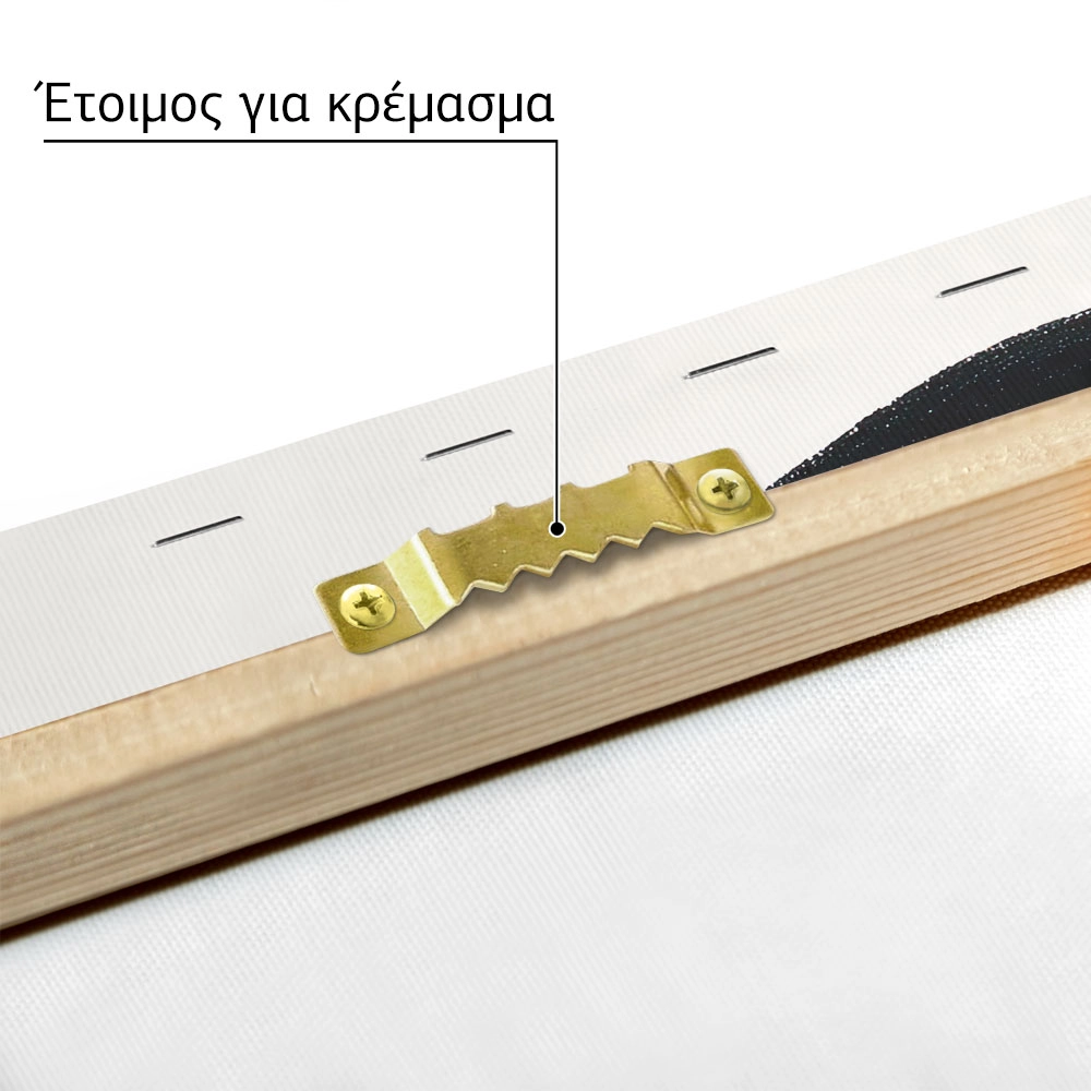 Πίνακας σε Καμβά BOHO BLACK & WHITE BRUSH STROKES 2