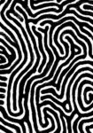 Πίνακας σε Καμβά BOHO BLACK & WHITE ORGANIC SWIRLING LINES