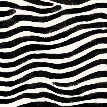 Πίνακας σε Καμβά BOHO BLACK & WHITE ZEBRA PATTERN -  Sticky 5