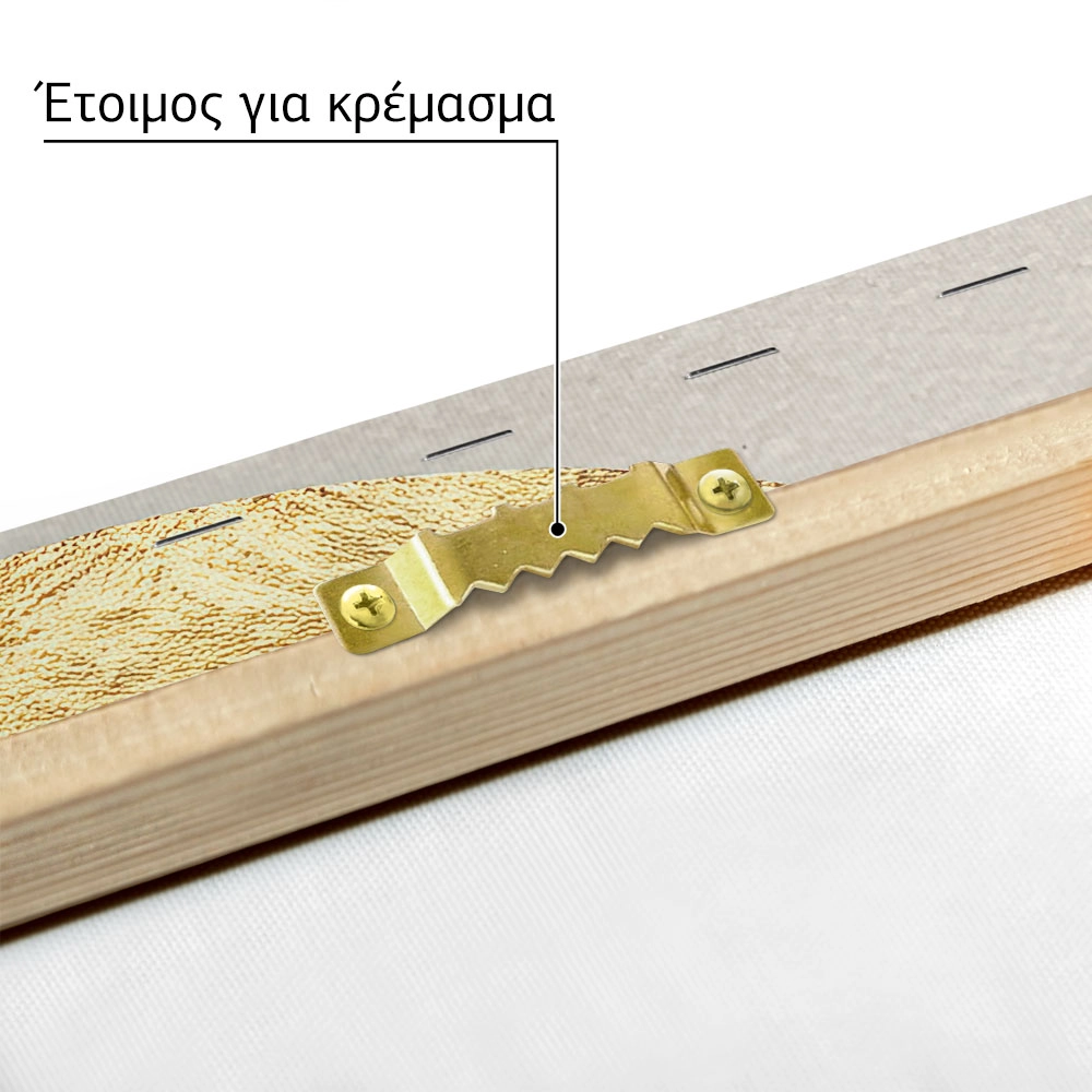 Πίνακας σε Καμβά BOHO LUXURY CIRCLES