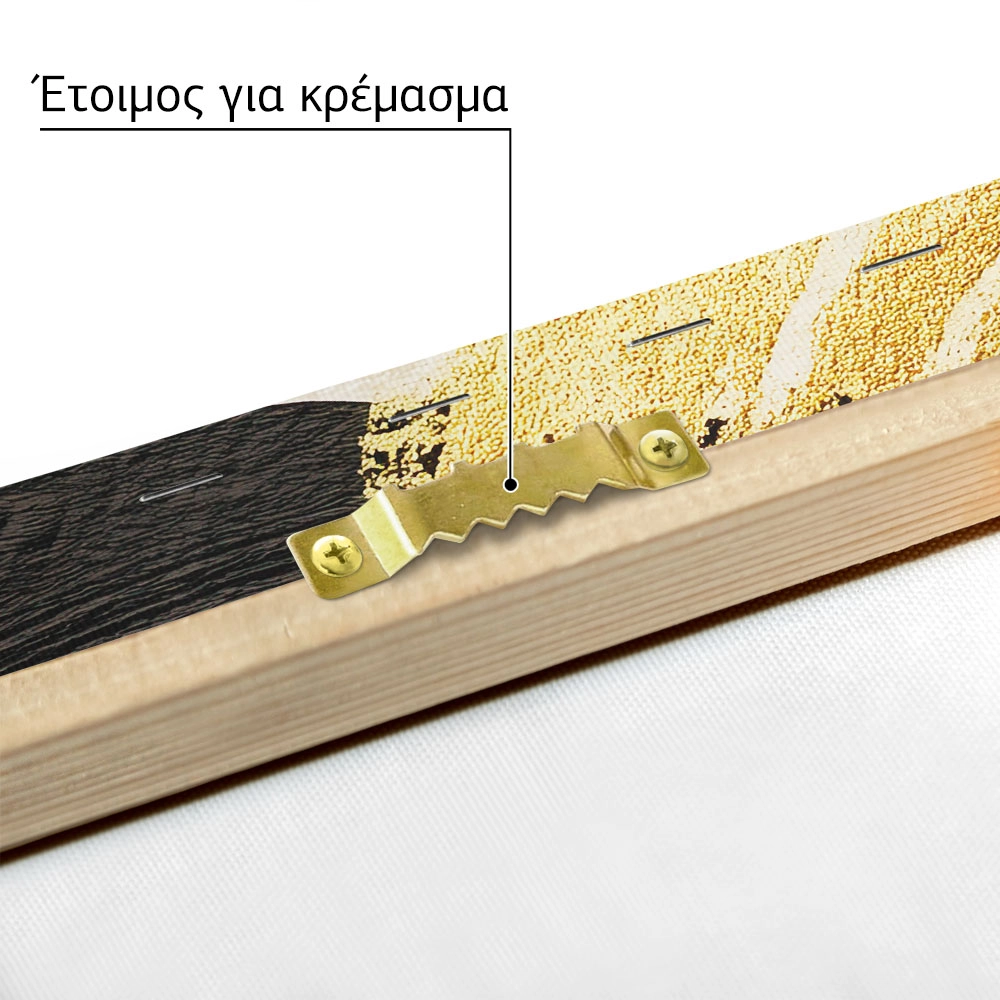 Πίνακας σε Καμβά BOHO LUXURY SPIRAL 3