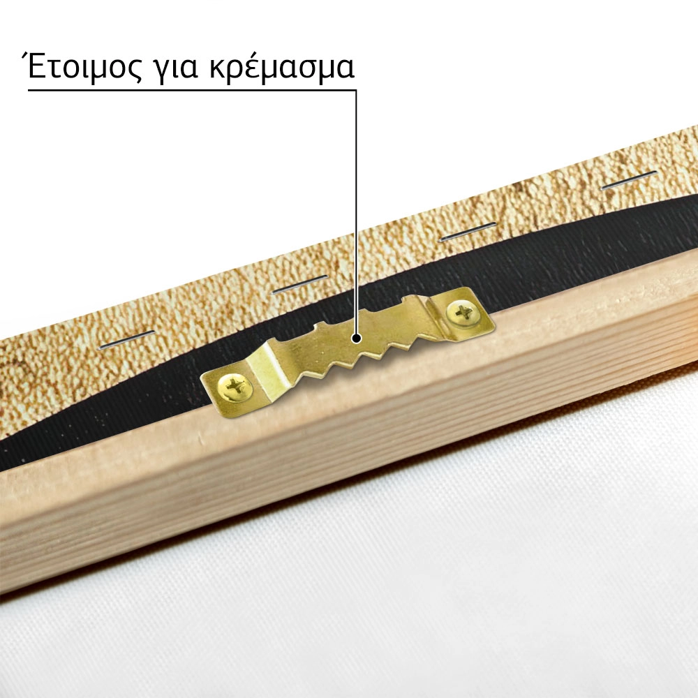 Πίνακας σε Καμβά BOHO LUXURY SPIRAL 4