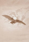 Πίνακας σε Καμβά CASPAR DAVID FRIEDRICH - OWL FLYING AGAINST A MOONLIT SKY