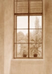 Πίνακας σε Καμβά CASPAR DAVID FRIEDRICH - WINDOW LOOKING OVER THE PARK