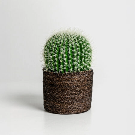 FEROCACTUS ΦΥΤΟ ΤΕΧΝΗΤΟ ΣΕ ΓΛΑΣΤΡΑ 18x18x30cm ΥΦΑΣΜΑ ΠΡΑΣΙΝΟ ΛΕΥΚΟ ΠΛΑΣΤΙΚΟ -  Sticky 1