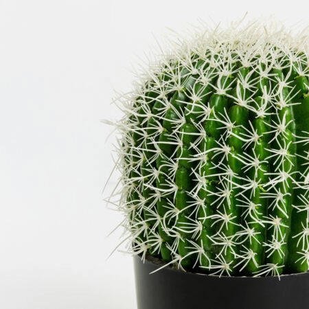 FEROCACTUS ΦΥΤΟ ΤΕΧΝΗΤΟ ΣΕ ΓΛΑΣΤΡΑ 18x18x30cm ΥΦΑΣΜΑ ΠΡΑΣΙΝΟ ΛΕΥΚΟ ΠΛΑΣΤΙΚΟ -  Sticky 2