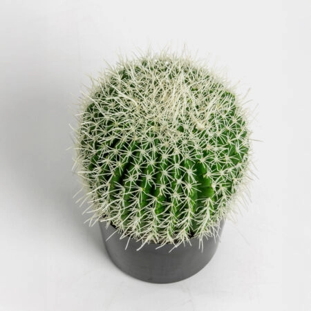 FEROCACTUS ΦΥΤΟ ΤΕΧΝΗΤΟ ΣΕ ΓΛΑΣΤΡΑ 18x18x30cm ΥΦΑΣΜΑ ΠΡΑΣΙΝΟ ΛΕΥΚΟ ΠΛΑΣΤΙΚΟ -  Sticky 3