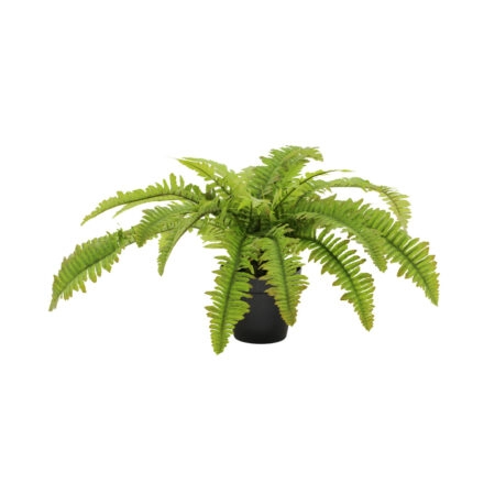 BOSTON FERN ΦΥΤΟ ΤΕΧΝΗΤΟ ΣΕ ΓΛΑΣΤΡΑ 36cm POLYESTER ΠΡΑΣΙΝΟ PE/PP - 