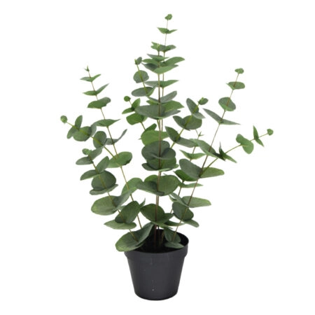 EUCALYPTUS ΦΥΤΟ ΤΕΧΝΗΤΟ ΣΕ ΓΛΑΣΤΡΑ 49cm POLYESTER ΠΡΑΣΙΝΟ PE/PP - 