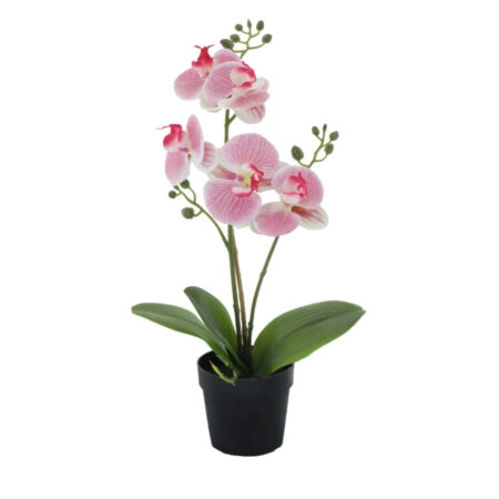 ORCHID 1 ΦΥΤΟ ΤΕΧΝΗΤΟ ΣΕ ΓΛΑΣΤΡΑ 35cm PE/PP ΡΟΖ ΠΡΑΣΙΝΟ PEVA - 