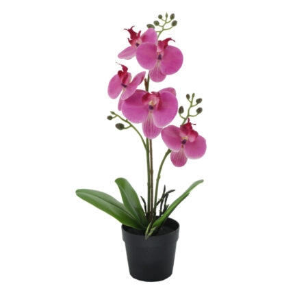 ORCHID 2 ΦΥΤΟ ΤΕΧΝΗΤΟ ΣΕ ΓΛΑΣΤΡΑ 35cm PE/PP ΜΩΒ ΠΡΑΣΙΝΟ PEVA - 